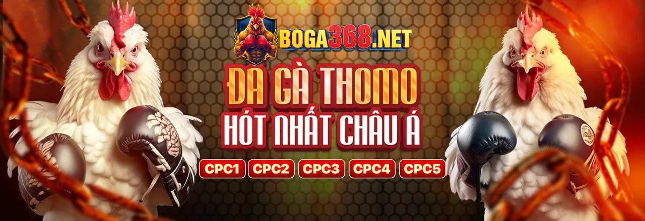 Tin tức AX88 mới nhất